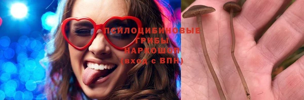 крисы Касимов