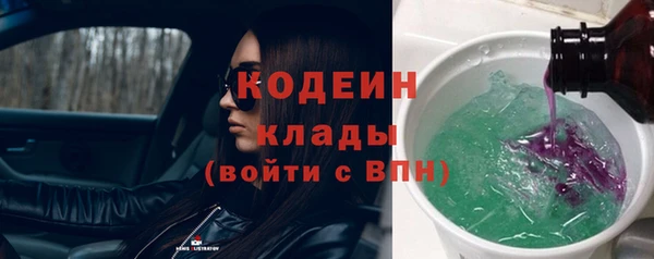 крисы Касимов