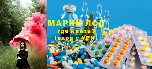 крисы Касимов
