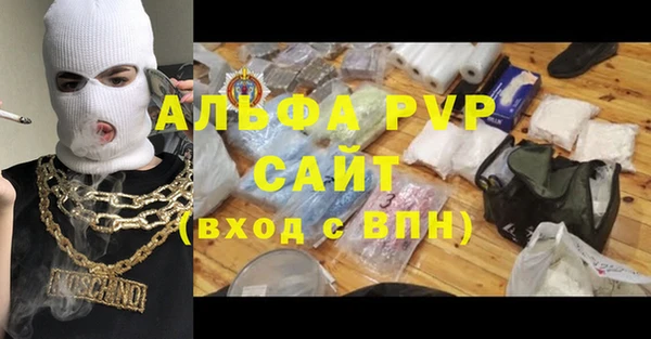 крисы Касимов
