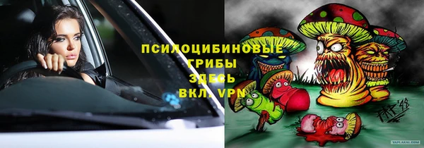 гидропоника Карталы
