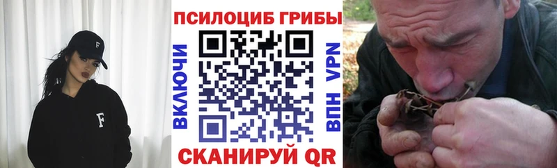 Псилоцибиновые грибы мухоморы  Купить закладки  Горнозаводск 