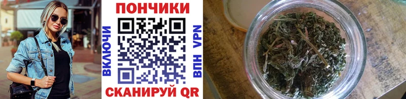 Купить закладки  Горнозаводск  Каннабис индика 